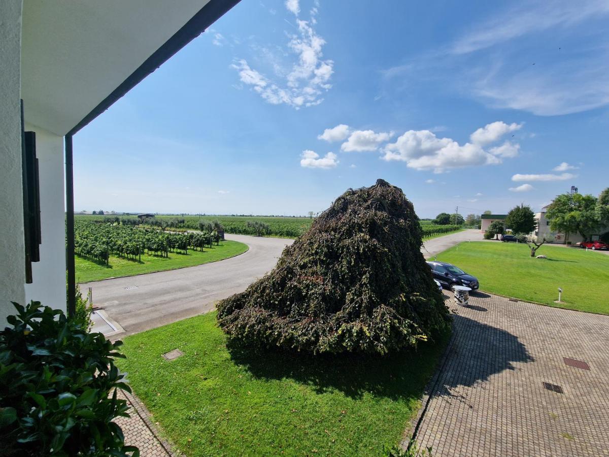 B&B Borgo Tesis สปิลิมแบร์โก ภายนอก รูปภาพ