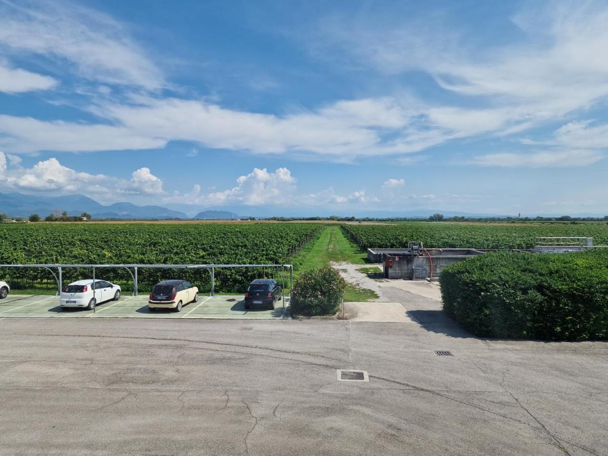 B&B Borgo Tesis สปิลิมแบร์โก ภายนอก รูปภาพ