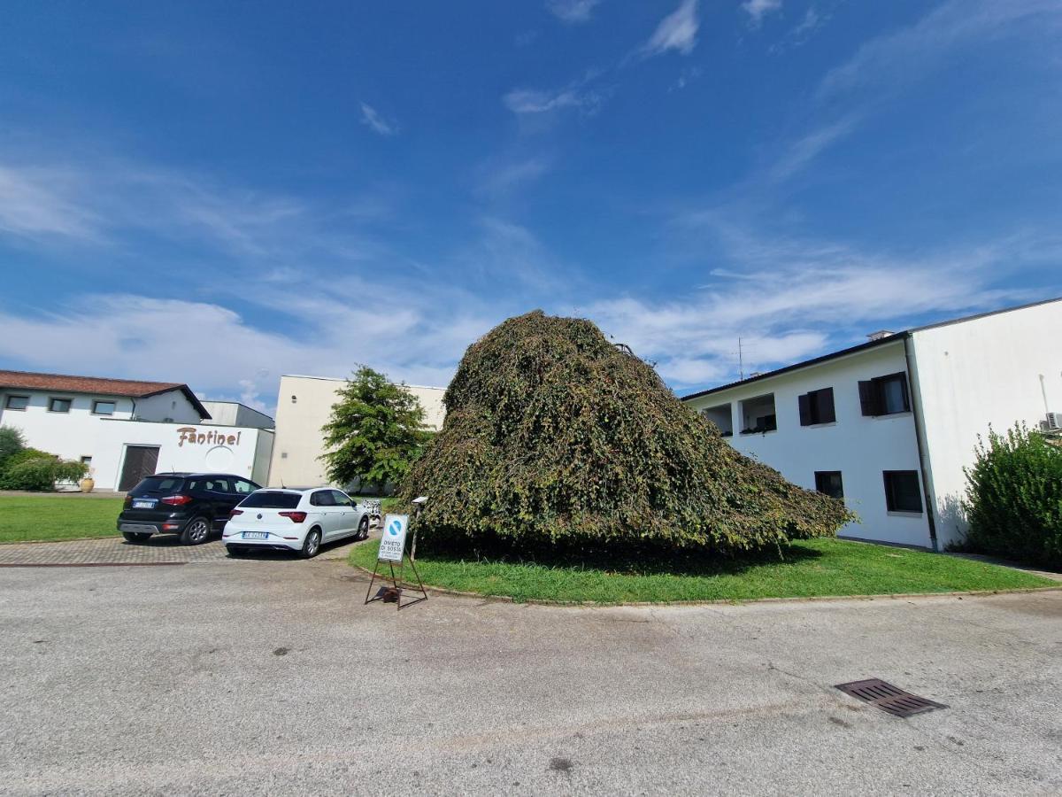 B&B Borgo Tesis สปิลิมแบร์โก ภายนอก รูปภาพ